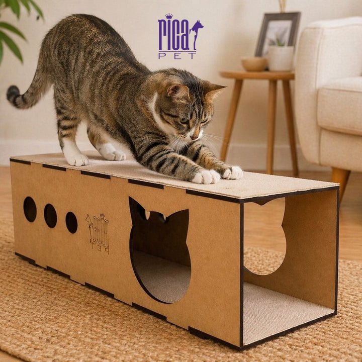 Arranhador Gato Brinquedo Tunel Carpete Duplo Protetor Rampa