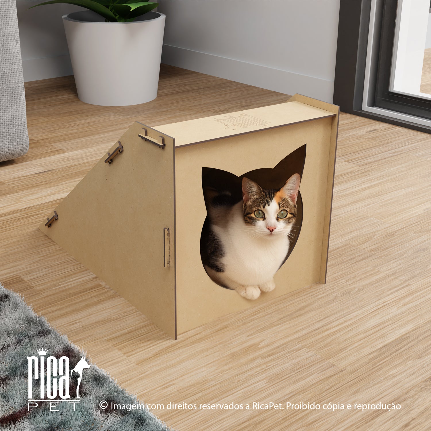Casinha e Arranhador Gato
