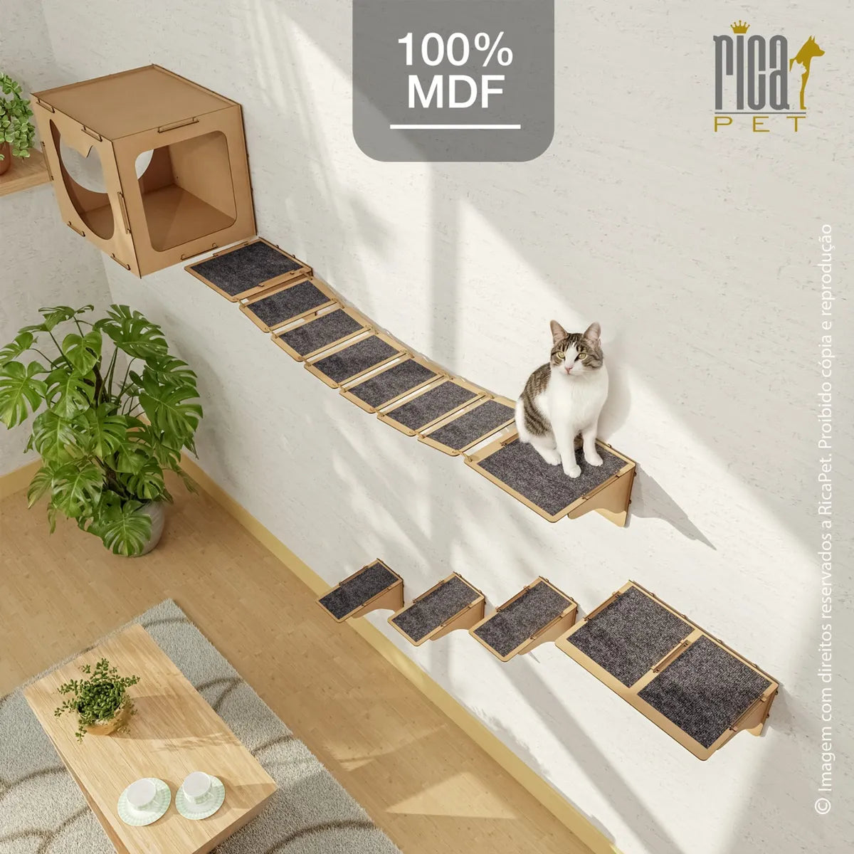 Kit Gato Playground Casa Ponte Escada Completo Brinquedo