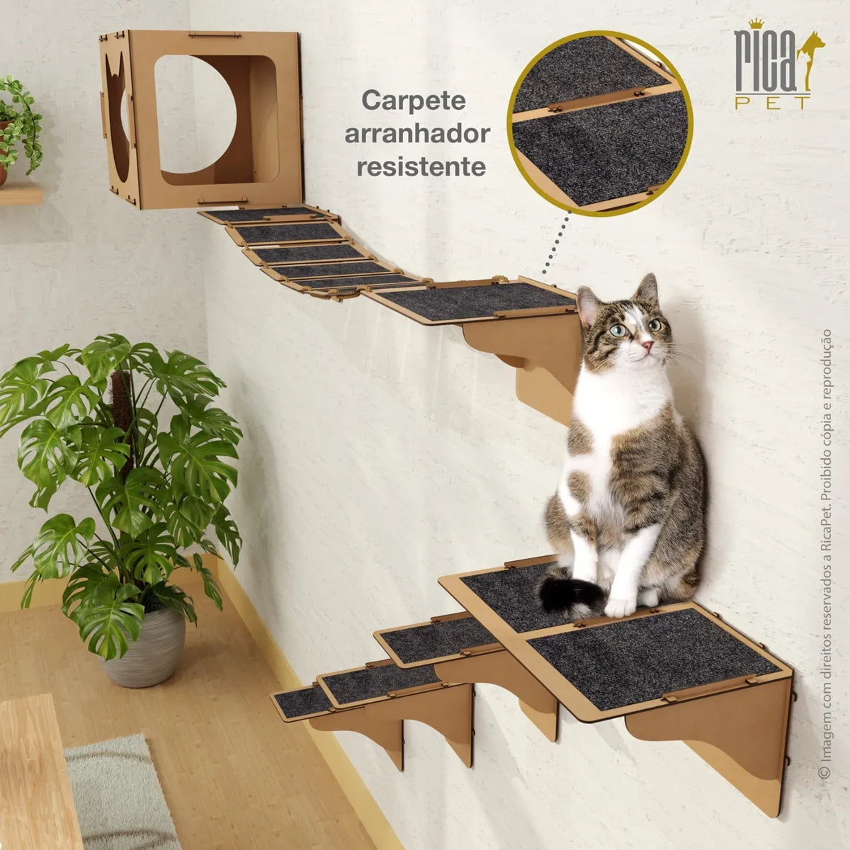 Kit Gato Playground Casa Ponte Escada Completo Brinquedo