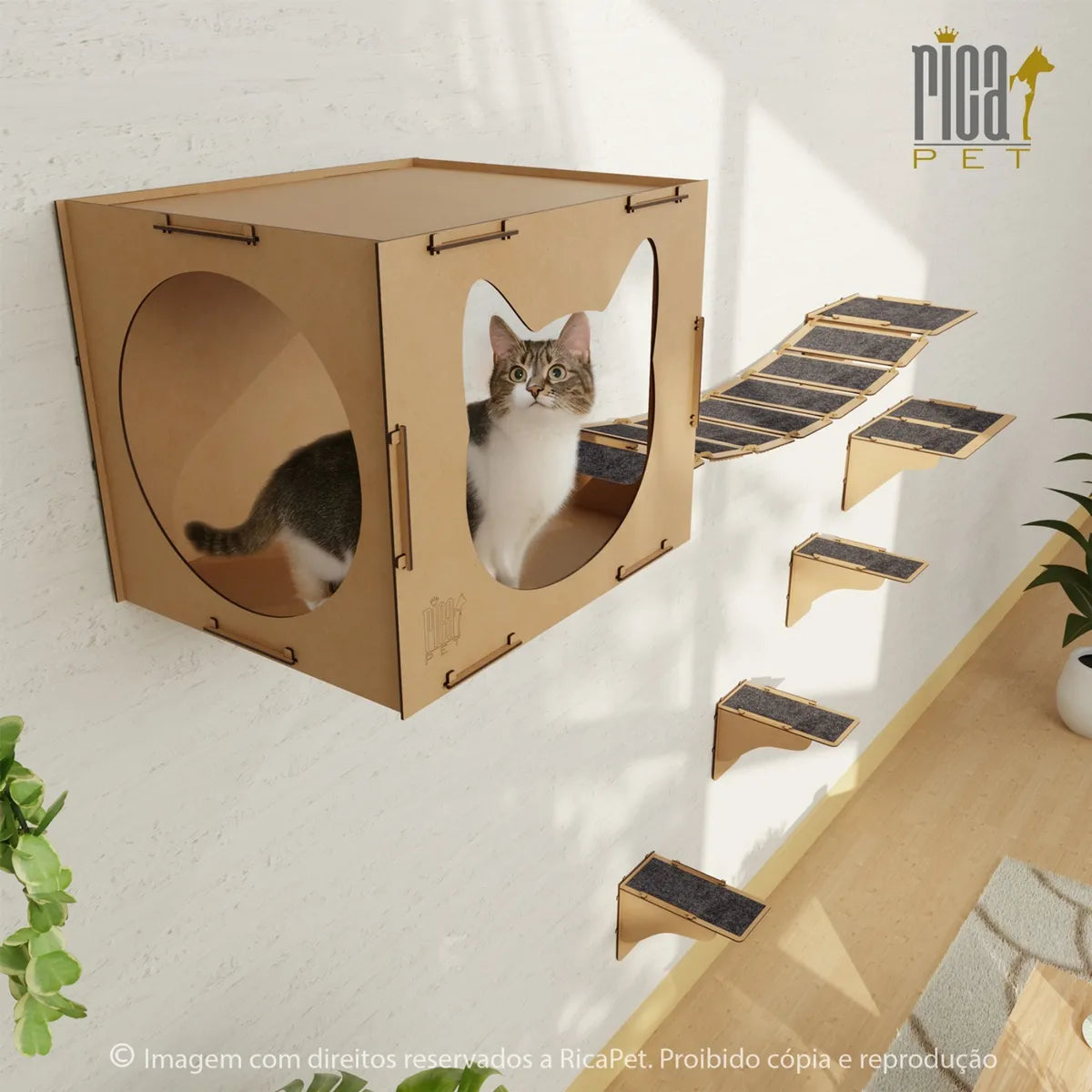Kit Gato Playground Casa Ponte Escada Completo Brinquedo