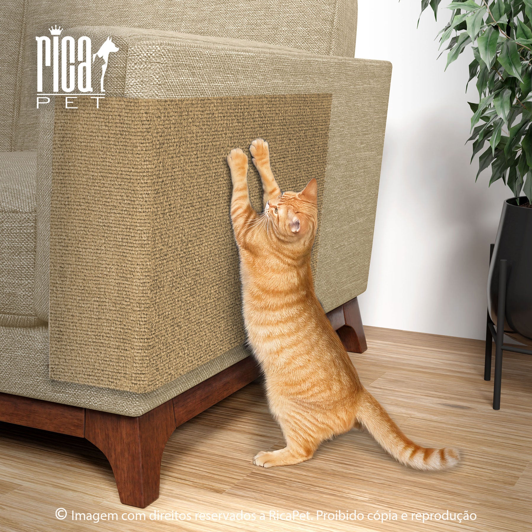 Arranhador para Gato Protetor para Sofá Adesivo 50x30cm - Ricapet™