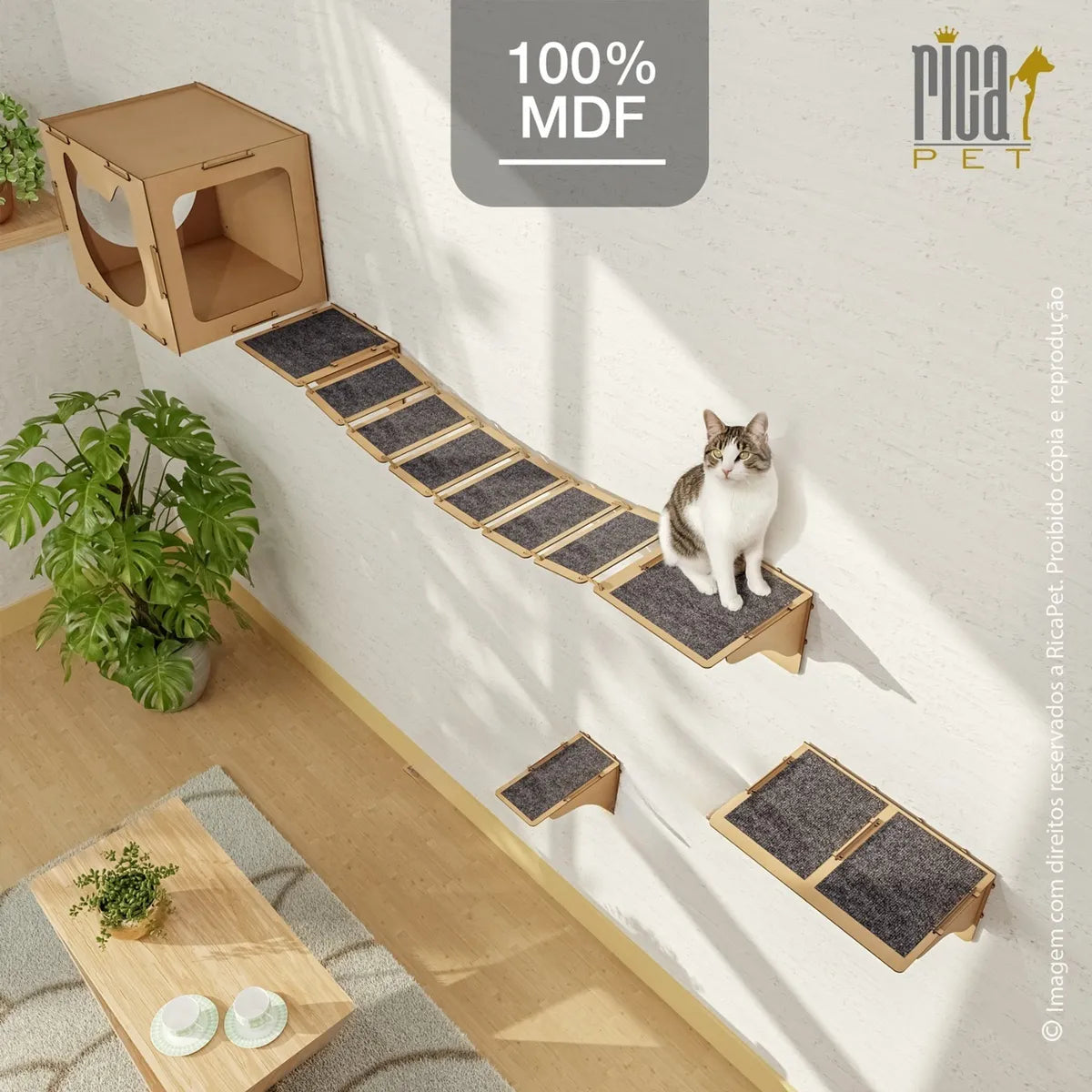 Kit Gato Playground Casa Ponte Escada Completo Brinquedo