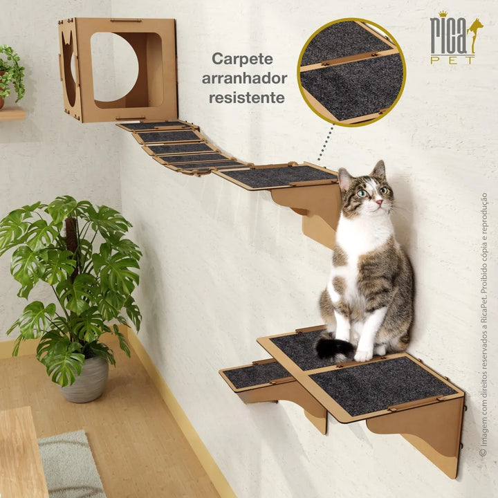 Kit Gato Playground Casa Ponte Escada Completo Brinquedo