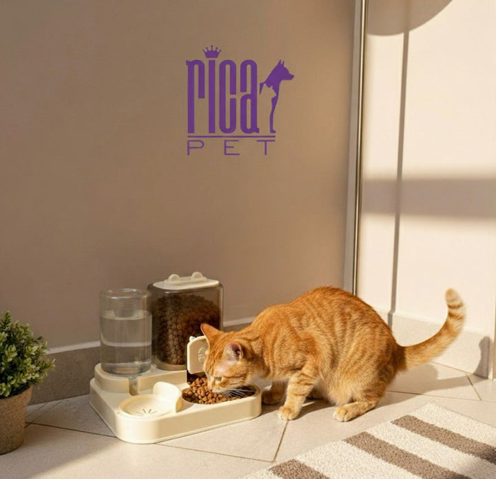 Alimentador Comedouro Automático Duplo Ração Pet Cães Gatos
